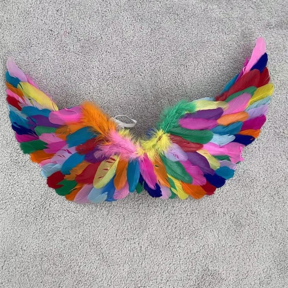 2022 Feather Wings rainbow feather wings